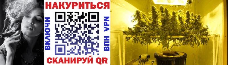 Бошки марихуана THC 21%  Чудово 